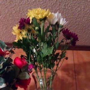 Meet your Posher, Debra